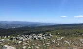 Tour Wandern Mont Lozère et Goulet - Le Bleymard Le Pont de Montvert  - Photo 4