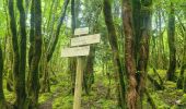 Trail Walking Coyron - coyron - Photo 1