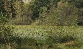 Tour Wandern Chantemerle-les-Blés - Chantemerle les blés  - Photo 2