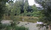 Tour Wandern Nègrepelisse - Le long de l'Aveyron  - Photo 3