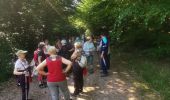 Trail Walking Renauvoid - marche - Photo 13