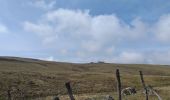 Tour Wandern Nasbinals - Nasbinal St Chély d'Aubrac - Photo 13