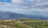 Trail Walking Mercus-Garrabet - Mont Fourcat le 2.11.24 - Photo 1