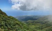 Tocht Stappen Saint-Claude - La Soufrière (retour) - Photo 7