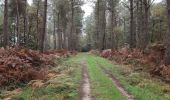 Tour Wandern Bourgueil - Bourgueil le Picard - GRP Coteaux de Bourgueil - 24.3km 325m 5h25 (45mn) - 2024 10 30 - Photo 8