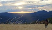 Trail Walking Russ - 2018-08-10 Picnic nocturne sur les Chaumes de la Hongrie - Photo 1