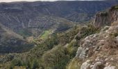 Tour Wandern Vissec - Cirque de navacelles  - Photo 1