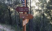 Trail Walking Saint-Vallier-de-Thiey - St Vallier de Thiey. Arche de Ponadieu,grotte des 2 goules. - Photo 2