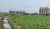 Percorso Marcia Frasnes-lez-Anvaing - Oeudeghien 9,2 km - Photo 1