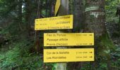 Trail Walking Saint-Laurent-du-Pont - Rocher de Pertuis  - Photo 11
