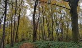 Trail Walking Gulpen-Wittem - 2021-10-27_20h47m33_1105 - Photo 10