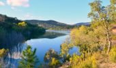 Randonnée Marche Bormes-les-Mimosas - Barrage du Trapan - Pellegrin - Photo 12