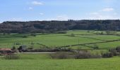 Tour Wandern Limburg - 20240325 - Limbourg 5,6 Km - Photo 11