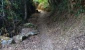 Tour Wandern Piana - chemin de piana à ota  - Photo 2