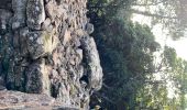 Trail Walking Anduze - Anduze  - Photo 1