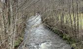 Randonnée Marche Picherande -  Boucle lac chauvet (rénover )o - Photo 9