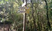 Tour Wandern Vallon-Pont-d'Arc - 2020-09-11  vallée de l’ibie - vallon Pont d’arc - Ardèche  - Photo 5