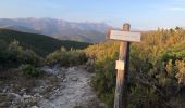 Excursión Senderismo Belgodère - Boucle Lozari - plage ostreconi : désert dès agriates  - Photo 7