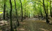 Tour Wandern Gesves - Mozet - Châteaux de Faulx-les-Tombes et d'Arville - Photo 7