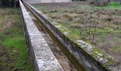 Percorso Marcia Vidauban - Vidauban - Château d'Astros - Chapelle St Lambert - Photo 11