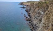 Trail Walking Banyuls-sur-Mer - Banyuls-Peyrefite_T - Photo 4