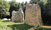 Percorso A piedi Gemeinde Sieghartskirchen - Ried am Riederberg - In der Au über Klosterruine - Photo 9