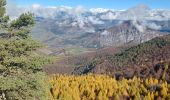 Randonnée Marche Venterol - URTIS . COL DE BUISSONET . SOM DE MONTSERIEUX . VENTEROL . O M S  - Photo 3