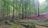 Trail Walking Watermael-Boitsfort - Watermaal-Bosvoorde - 2020.09.30.P - Photo 2