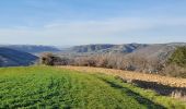 Trail Walking Tournon-sur-Rhône - Le Pas du géant  - Photo 2