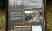 Excursión Senderismo Ferrières - FERRIERES  la mine de Baburet   295 0542 - Photo 12