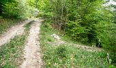 Trail Walking Menglon - Le Tour de la Grésière  - Photo 16