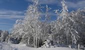 Randonnée Raquettes à neige Léoncel - Le Grand Echaillon - Les Crêtes de la Sausse - Photo 7