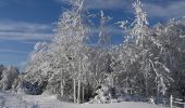 Tour Schneeschuhwandern Léoncel - Le Grand Echaillon - Les Crêtes de la Sausse - Photo 7