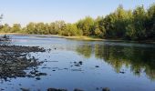 Trail Walking Pinsaguel - PINSAGUEL : sentier de la Confluence (24.08.2023) - Photo 3