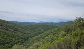 Tour Wandern Pierrefeu-du-Var - Circuit dans les maures - Photo 7
