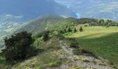 Percorso Mountainbike Pierre-Châtel - Peyrouse signaraux  56 km 2200 d+ - Photo 4