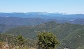 Excursión Senderismo Les Plantiers - coeur des cevennes - Photo 5