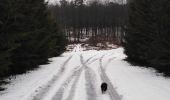 Tocht Stappen Paliseul - devant le pré  - Photo 1