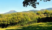 Excursión Senderismo Saint-Bonnet-près-Orcival - St_Bonnet_Orcival_Sioule - Photo 1