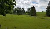Tour Radtourismus  Lierneux - Arbrefontaine - Toodlermillen - Photo 4