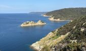 Trail Walking Hyères - Tour de l’île de Port Cros - Photo 1
