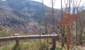 Trail Walking Saint-Léger - Tete de Pibossan Col de Roua depuis ST Leger - Photo 5