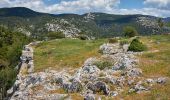 Excursión A pie Δημοτική Ενότητα Φυλής - Κάστρο Φυλής - Ρέμα Θοδώρας - Φυλή - Photo 1