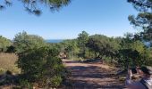 Tour Wandern Théoule-sur-Mer - Théoule, le rocher des Monges, N.D d'Afrique - Photo 17