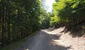 Trail Walking Val-d'Aigoual - Serreyrede-caumette-Pra peyrot - Photo 3