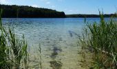 Tour Zu Fuß Schwarz - Rundweg Wummsee - Photo 8