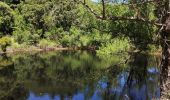 Tour Wandern Collobrières - Cuves de Boulin - Photo 7