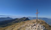 Trail Walking Saint-Pierre-de-Chartreuse - Grande Sure par les cols des vaches - Photo 2