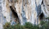 Percorso Marcia Ollioules - grotte théâtre  - Photo 6