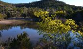 Trail Walking Fréjus - Colle Douce - Pt Barban - Lacs Peguières - Col Essuyadou - Col des Sacs - Photo 8